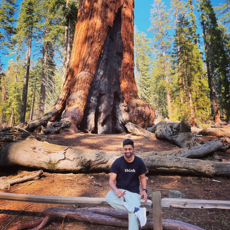 The Proof of Work: How to Build a Portfolio (Even Without a Degree)